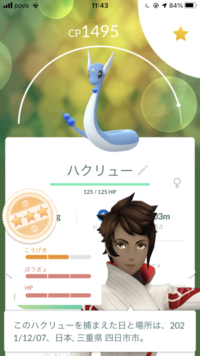 ポケモンgoについての質問ですこのハクリューをジム用とレイド用で使うカイ Yahoo 知恵袋