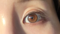 この瞳の色は、ブラウンアイ、ヘーゼルアイ、アンバーアイなどのタイプでいうとどれに当たりますか？光のあたり具合で違いがまりますが。 