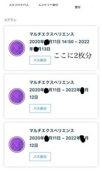ディズニーランドの紫色のマルチエクスペリエンスについて教えて