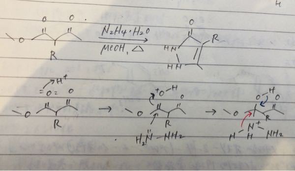 ヒドラジンを用いた環化反応の反応機構についてご質問させていただきたいです。 下の写真のように、アセト酢酸メチルをヒドラジンを用いて環化させようとした時に、一番最初にアセト酢酸メチルのカルボニルがプロトンを捕まえた後に、求核性のあるヒドラジンが攻撃する所までは分かるのですが、赤と青の矢印で示すように酸素と水素の結合が切れるのか、それともヒドラジンの水素が切れるのか良く分かりません。そもそも、エステル側のカルボニルにプロトン付加させましたが、アルデヒドの方にプロトンが付加して反応が進行しない理由もいまいちわからないです。(もしかして、両方共のカルボニルにプロトンが付加する可能性があって、環を巻くのがエステル側だけとかそういうことですか？？) すみませんが、どなたかわかる方いらっしゃいましたらご教示賜りたいです。よろしくお願いいたします。