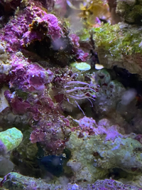 洗濯用ハイターの無毒化について 水槽器具の洗浄で時々 年に２ ３回 洗濯 Yahoo 知恵袋