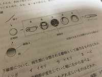 中三理科の生物とかです 正しい順番を教えてくださいm M Yahoo 知恵袋