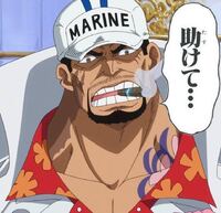 ワンピースの赤犬サカズキは結婚してるの Yahoo 知恵袋