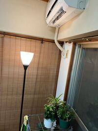 植物がエアコンの真下にあります もちろん風向きは上にして Yahoo 知恵袋