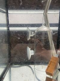 濾過なしベタ水槽の浮遊物の正体についてご意見お聞かせください よろしくお Yahoo 知恵袋