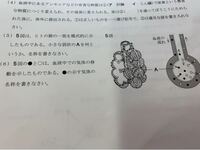 中学理科です 6 はなぜ二酸化炭素が答えになるのかが分かりま Yahoo 知恵袋