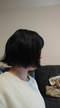 ヘアアクセルレーターを買おうとしてます いい口コミや悪い口コミ Yahoo 知恵袋