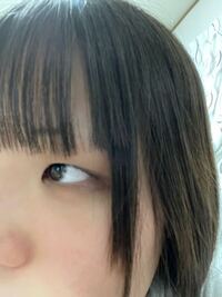 前髪セルフで切ったら大失敗しました いっそ触覚まで切った方がいいですかね Yahoo 知恵袋