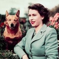 政治家や王室で犬好きの人 といえば誰が有名ですか プーチンを除く Yahoo 知恵袋