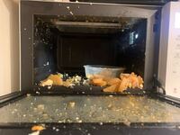 電子レンジでゆで卵あたためると爆発するんですか 大根と卵 Yahoo 知恵袋