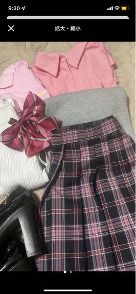 ディズニーに行く時、このスカートとリボンに白のワイシャツとピンクのカーディガンを着て上にブレザーを羽織ったらピンクすぎてうるさいと思いますか？スカートはやっぱり無地の黒のスカートにするか灰色のスカート の方がいいですかね…