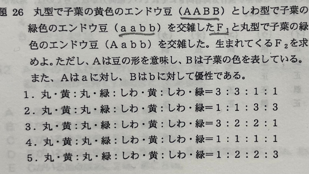 生物の問題で遺伝の解き方がわかりません 解き方教えていただから Yahoo 知恵袋