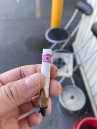 このタバコの銘柄分かる方いたら教えてください 紫色の羽みたいなやつ Yahoo 知恵袋