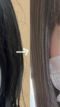 【至急】
美容院で髪を黒くしすぎました。
2週間ちょっとで髪を写真のような色にしたいです。
どーしたらいいですか？ 