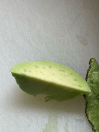 アボカドの断面に斑点があるんですけどこれって食べられますか 食べら Yahoo 知恵袋