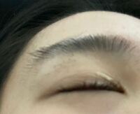 下からみた私の眉毛なんですが このように毛が横に流れず 垂直に Yahoo 知恵袋