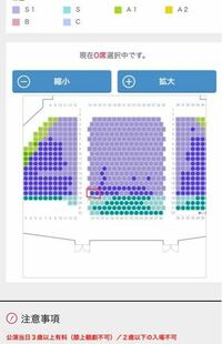 至急 名古屋四季劇場ライオンキングこの席見づらいでし Yahoo 知恵袋