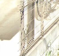 このフェンスひとつ直すのにいくらかかりますか Yahoo 知恵袋