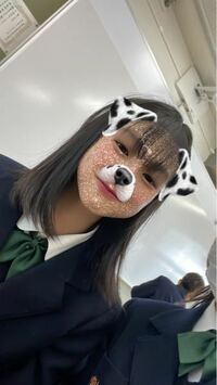 急募 インスタの犬のエフェクト探してます 写真のような Yahoo 知恵袋