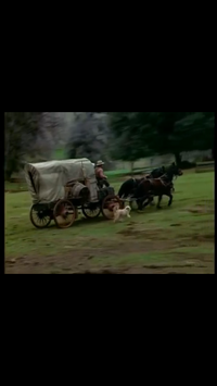 馬車って馬付きでいくらくらいで買えますか 添付した様な家付き の馬 Yahoo 知恵袋