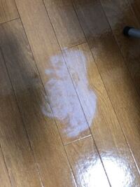 アパートに住んでいるのですが最近部屋でハンガーにかけて干してい 