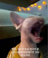 家族ゲームの吉本荒野 田子雄大 のセリフで 好きなセリフまたは心 Yahoo 知恵袋