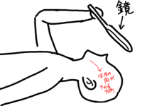 顔が丸くて悩んでいます。

仰向けに寝て、画像のような姿勢で鏡を見たとき、顔の脂肪が重力に負けることで顎の輪郭がすっきりして見えます。 頑張って痩せたらそれくらいの輪郭になれると考えていいですか。

画像分かりづらくてすみません。