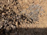 庭木の土作り中です この黒い土はなんですか 庭木用としてこの後 Yahoo 知恵袋