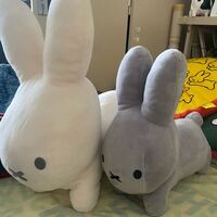 このミッフィーちゃんのぬいぐるみを普通の洗濯機で洗濯しようと思 Yahoo 知恵袋