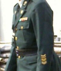 自衛隊の精勤章 上細いのが３つ その下太いのが１つはどう言う意味ですか Yahoo 知恵袋