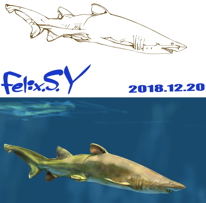 おはようごじゃいマシュマロ アクアリウムカテのみなシャン ボ Yahoo 知恵袋