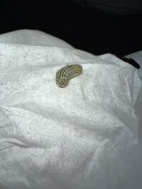 うちの猫がつんつんしてたこの幼虫は何ですか 害とかありますか Yahoo 知恵袋