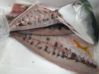 養殖のひらまさをさばくとこれでしたこれは何でしょうか 前例がな Yahoo 知恵袋