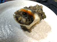 毎年 貝を大量に貰い ニシ貝 大好物なので沢山食べてしまうのですが Yahoo 知恵袋