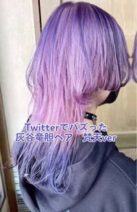 ペットネコ科のマーゲイを日本で飼えるかの質問です マーゲイっと Yahoo 知恵袋