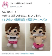 至急お願いいたします。メルカリで末澤誠也くんのちびぬいを購入したの