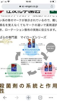 バラの消毒薬と殺虫剤 ローテーションの組み方を教えてください 今までスプ Yahoo 知恵袋