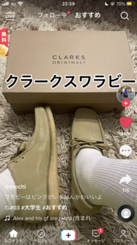 スニーカーについての質問です この画像のようなスニーカーは何というジャン Yahoo 知恵袋