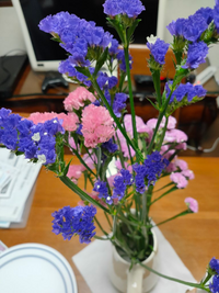 この花は何でしょうか 母の日に子供が買ってきたのですが 花から 小さな白 Yahoo 知恵袋