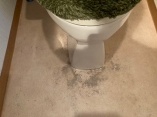 このトイレの床の黒い汚れが落ちません。汚れを落とす方法をどなたか教えて下さい。 写真に影も写りわかりづらくすみません、シミの様なもやもやしてるやつです。 カビなのか皮脂汚れかは不明です。 今までに試したのは、油汚れを落とすマジックリンと重曹と水を混ぜた液を掛け、しばらくしてから軽くスポンジでこすって、ほんの少しだけ取れました。が、まだまだ落ちません。あと、水と塩素系の漂白剤を混ぜた液を掛け、その上に重曹（粉）を掛けてスポンジでこすりましたが、これは全然効き目がなかったです。 どなたかアドバイスください。 よろしくお願いしますm(__)m