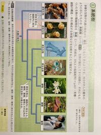 地学の 地質時代の覚え方ってありますか 語呂合わせとかなにか教えて Yahoo 知恵袋