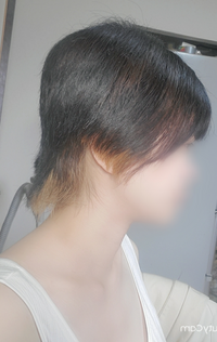 髪を切りすぎました ｔ ｔ 美容院でショートウルフにしても Yahoo 知恵袋