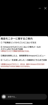 ディズニーランドでの落し物の見つかる確率は 先日 ディ Yahoo 知恵袋