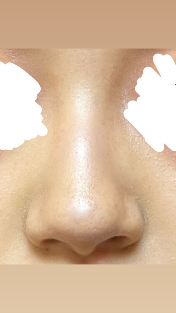 この鼻のシェーディングの方法を教えてください。