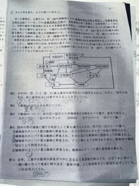 根粒菌って単独で生活してる時 どうやって有機窒素化合物得てい Yahoo 知恵袋