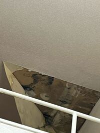 先日自宅の天井の壁紙が剥がれてしまったのですがそれ以降ゴキブリ Yahoo 知恵袋