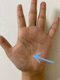 この矢印の 生命線の外側の線ってなに線っていうのでしょうか Yahoo 知恵袋