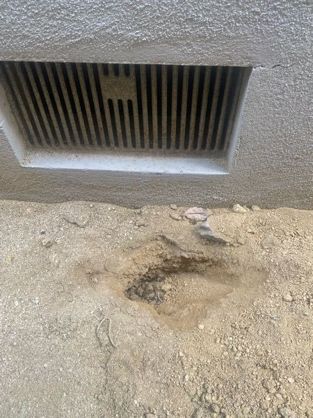 これは何の穴でしょうか… 朝起きたら家の横に穴ができており、動物の糞もありました… 穴は埋めた方がいいのでしょうか？ お分かりになる方おられましたら教えてください。