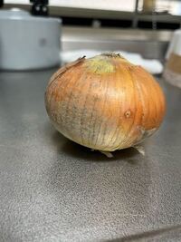 昨日買った玉ねぎにカビらしきものが生えてました 剥いたら Yahoo 知恵袋