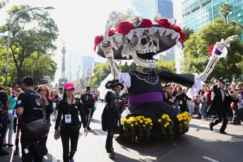 カトリーナ婦人のシュールさってアメリカ社会ではどの程度の認知度がありますか？これはメキシコ・シティで毎年恒例となってる「死者の祭り」のパレードです。